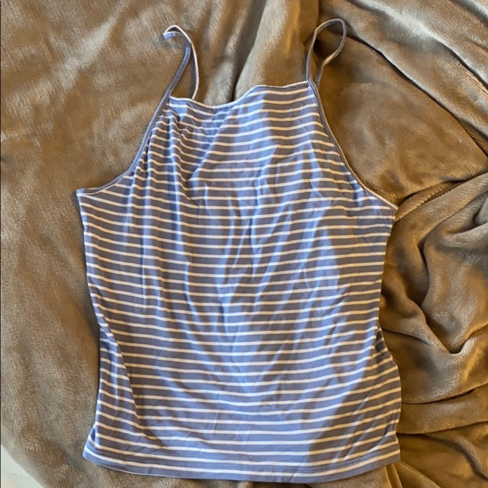 American Eagle Crop Tank